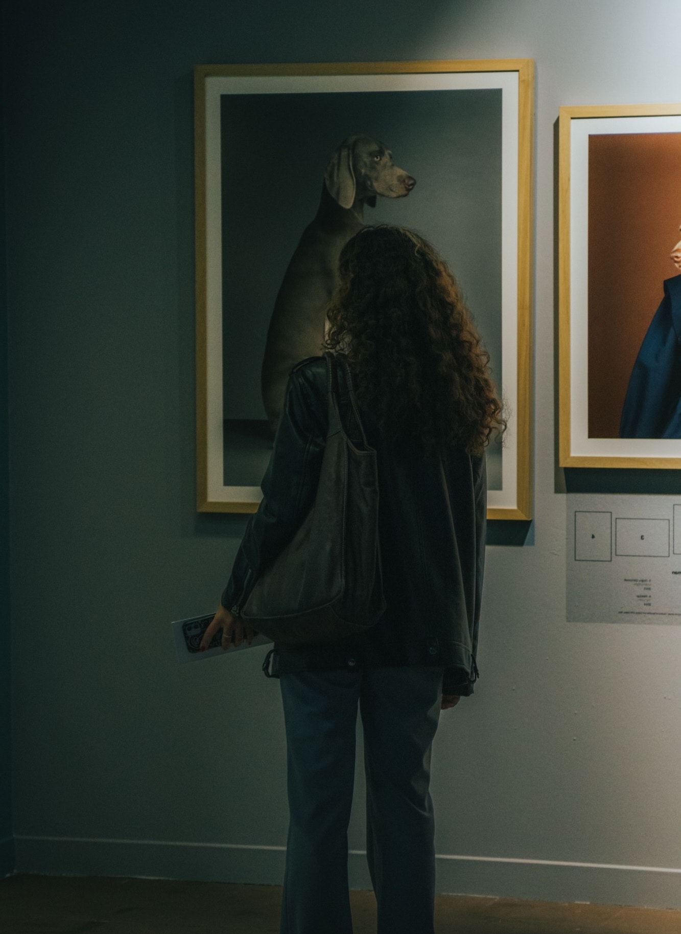 Visitor looking at a framed portrait of a dog in a gallery