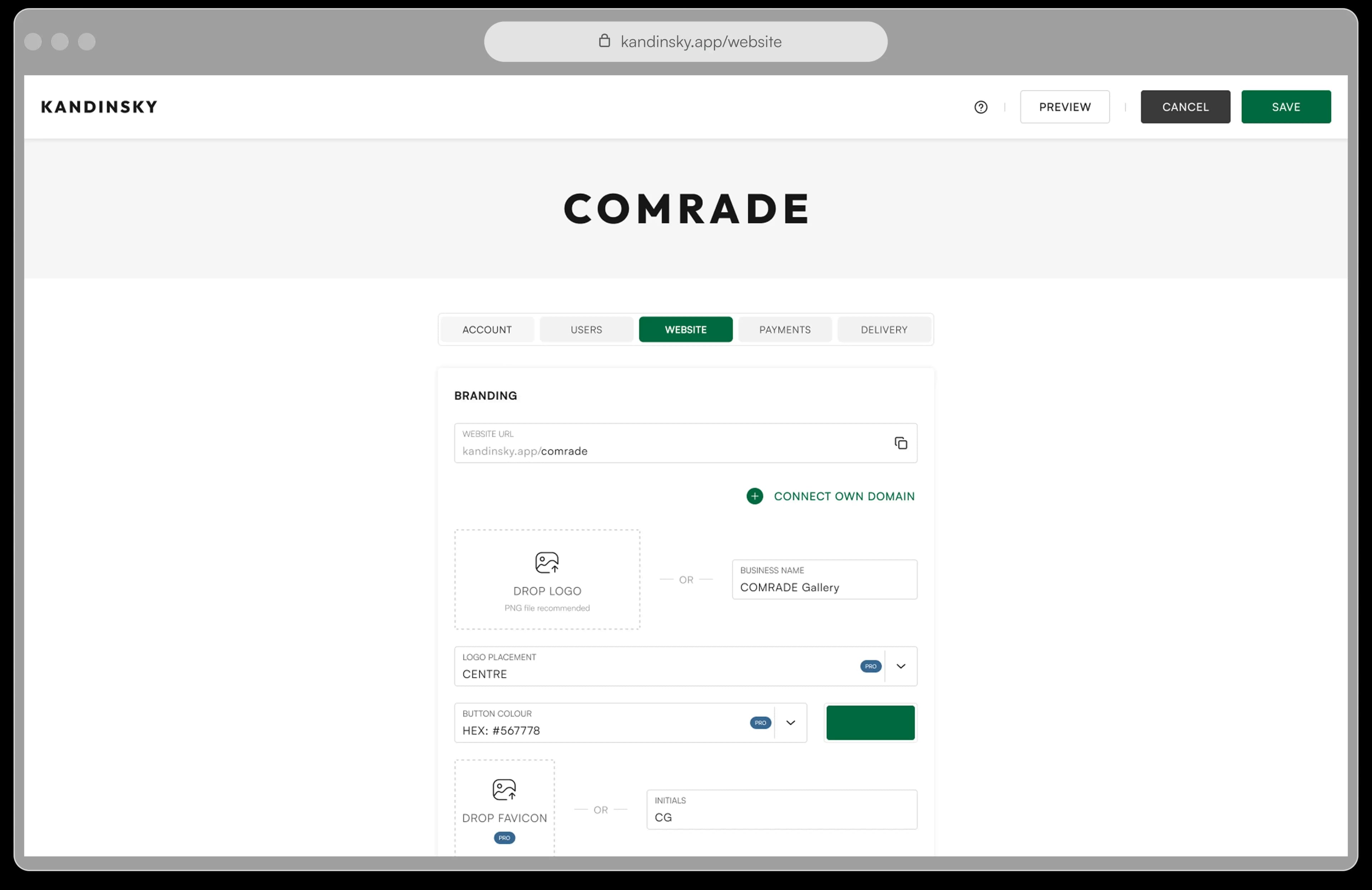 Kandinsky public profile and domain settings